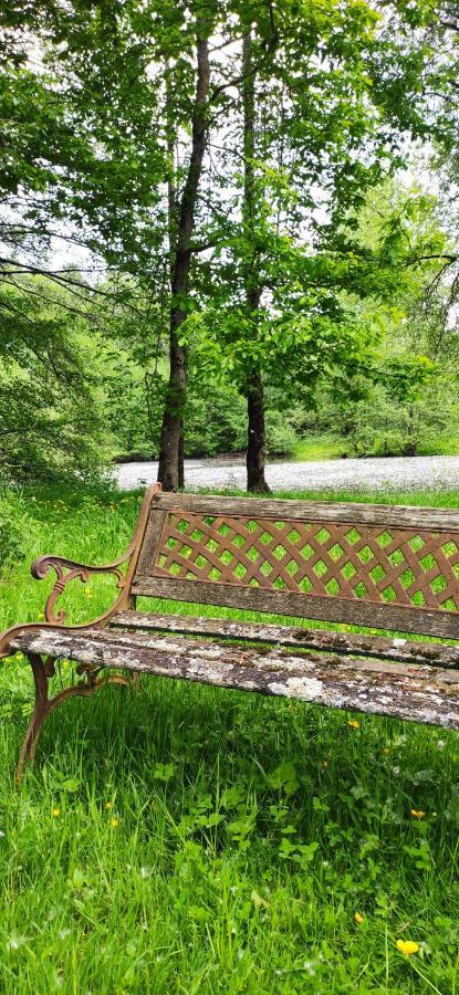Le Gite De L'Ecurie Forges-la-Foret Bagian luar foto